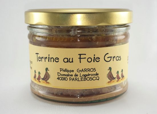 TerrineFG300-Simple